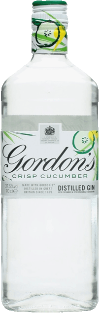 Gin ochucený Gordon's