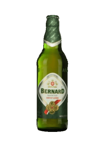 Pivo světlý ležák 11° Bernard