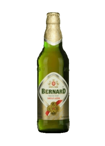Pivo světlý ležák 12° Bernard