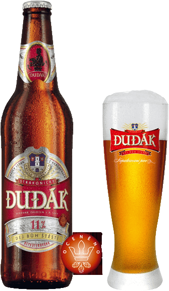 Pivo světlý ležák nepasterizovaný 11° Strakonický Dudák