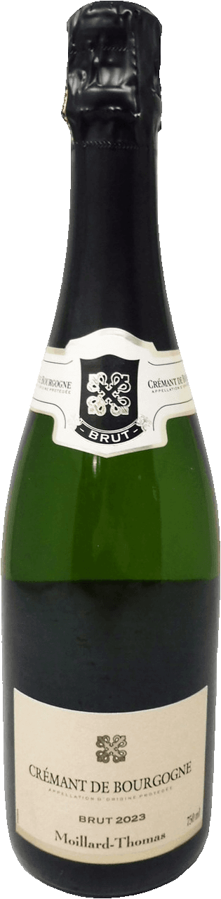 Sek brut crémant Moillard Thomas Bourgogne