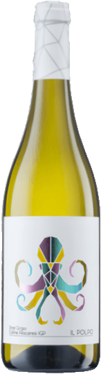 Víno Pinot Grigio delle Venezie Talamonti